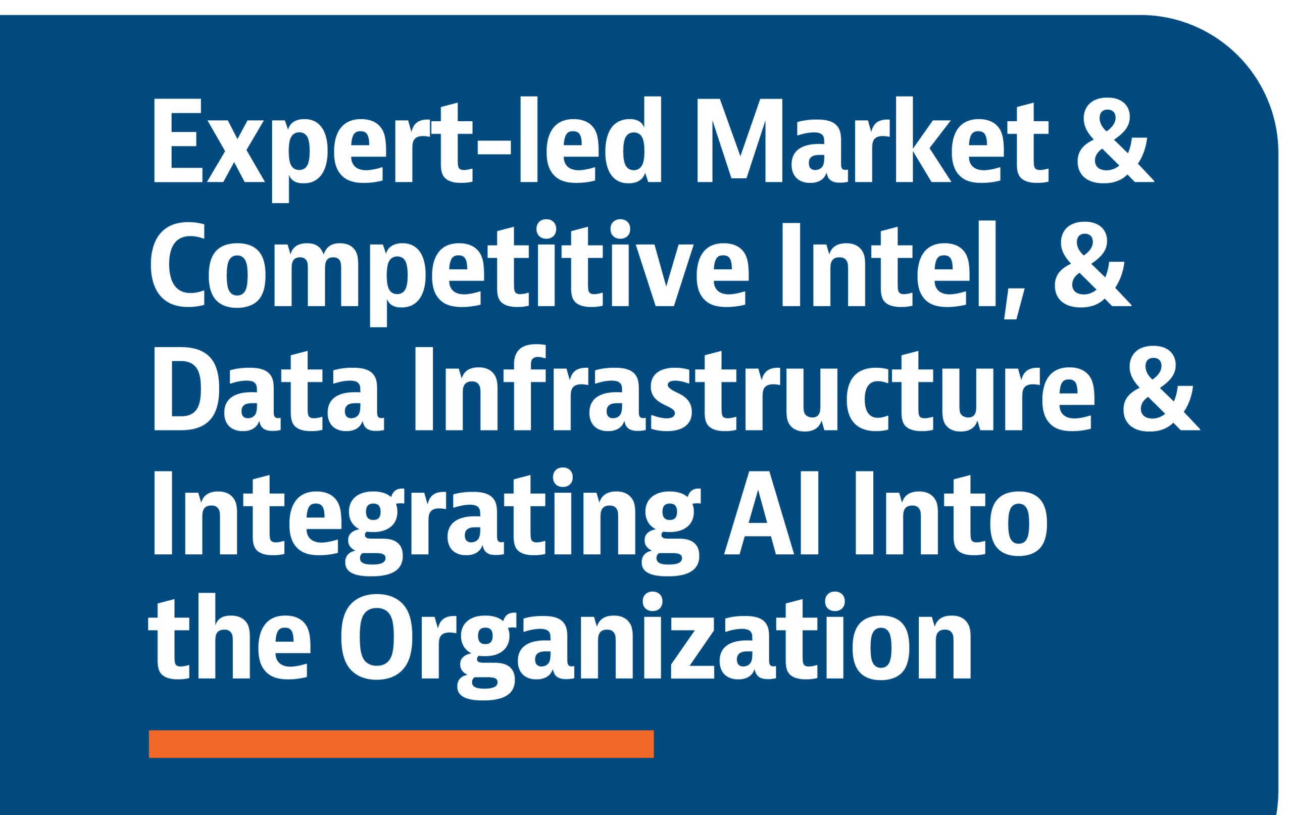 AI07 Expert-led Market and Competitive Intel, and Data Infrastructure & Integrating AI Into the Organization